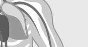 HealthOn DiGA-Radar: Brust
