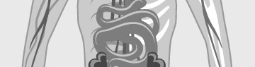 HealthOn DiGA-Radar: Magen/Darm