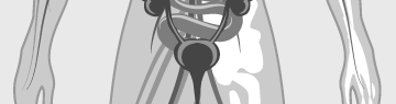 HealthOn DiGA-Radar: Urogenital